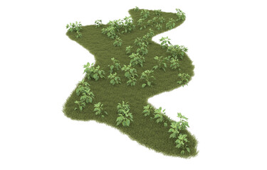 Grass on transparent background. 3d rendering - illustration