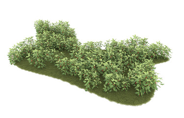 Grass on transparent background. 3d rendering - illustration