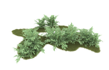 Grass on transparent background. 3d rendering - illustration