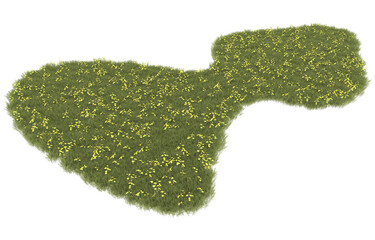 Fototapeta premium Grass on transparent background. 3d rendering - illustration