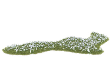 Grass on transparent background. 3d rendering - illustration