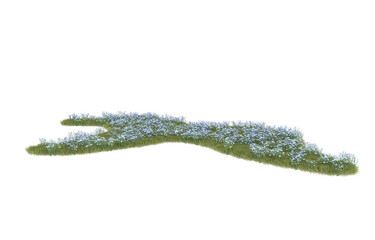 Grass on transparent background. 3d rendering - illustration