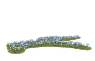 Grass on transparent background. 3d rendering - illustration