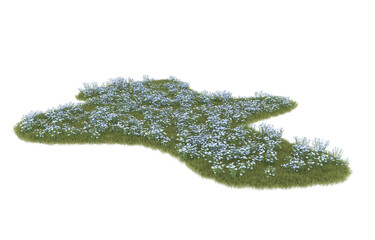 Grass on transparent background. 3d rendering - illustration