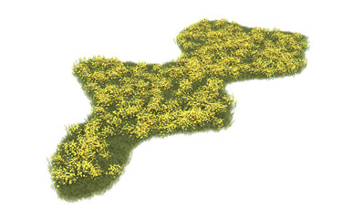 Grass on transparent background. 3d rendering - illustration