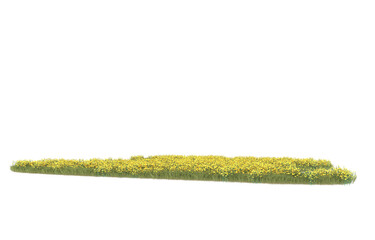 Grass on transparent background. 3d rendering - illustration