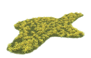 Fototapeta premium Grass on transparent background. 3d rendering - illustration