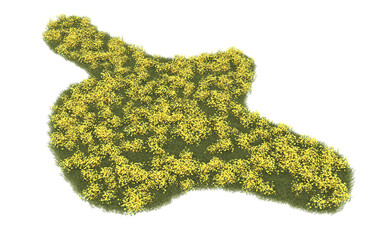 Fototapeta premium Grass on transparent background. 3d rendering - illustration