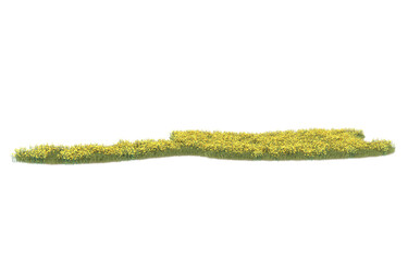 Grass on transparent background. 3d rendering - illustration