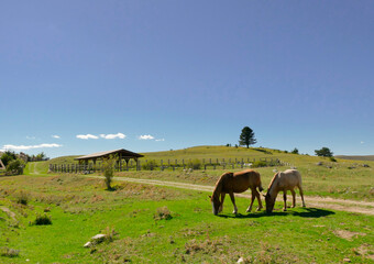 Fototapeta premium Parco Nazionale Gran Sasso, panorami