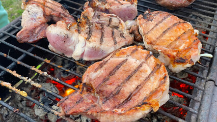 Close-up of steaks on a mangal grill are roasted on coals. Cooking barbecue and steaks. Summer holidays and vacations.