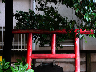 小さい赤い鳥居