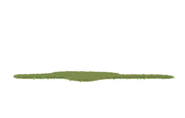 Grass on transparent background. 3d rendering - illustration