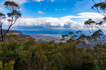 Fototapeta na wymiar シドニー郊外のブルーマウンテンズで見た、森と青空に浮かぶ雲