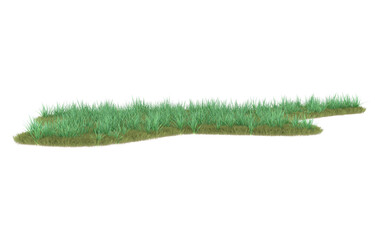 Grass on transparent background. 3d rendering - illustration