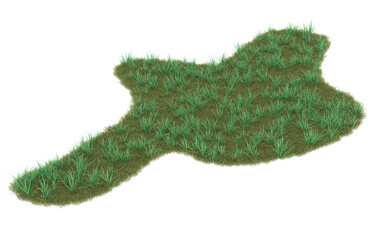 Fototapeta premium Grass on transparent background. 3d rendering - illustration