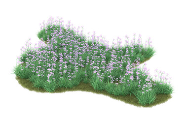 Fototapeta premium Grass on transparent background. 3d rendering - illustration