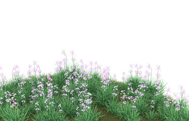 Obraz premium Grass on transparent background. 3d rendering - illustration