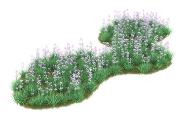 Grass on transparent background. 3d rendering - illustration