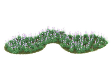 Grass on transparent background. 3d rendering - illustration