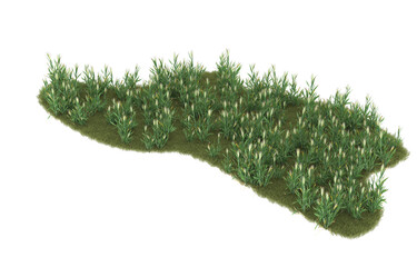 Grass on transparent background. 3d rendering - illustration