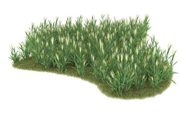 Grass on transparent background. 3d rendering - illustration