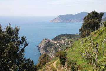 The panorama of CInque Terre national park and Corniglia village, Italy	