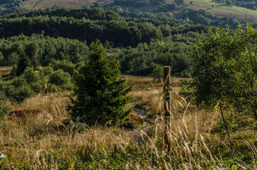 Panorama z połoniny Caryńskiej 