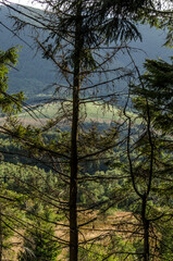 bieszczady, panorama, 