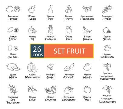 Fruits icons set. Signature in Russian Set of 26 icons of fruits. Simple concise images of fruits with names in Russian and English. Collection of icons in outlines. Vector, eps