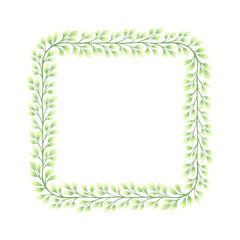Square frame of botanical illustration. 