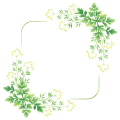Square frame of botanical illustration. 