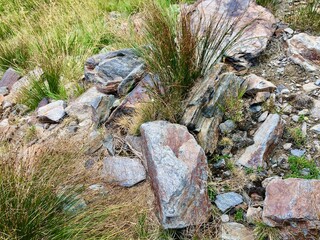 Sony way outside in nature