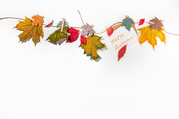 Creative autumn frame border composition with fall leaves. Red and yellow autumn leaves hang on...
