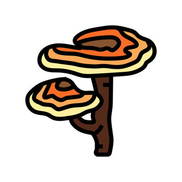 Reishi Mushroom Color Icon Vector. Reishi Mushroom Sign. Isolated Symbol Illustration