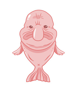 Blobfish Images – Browse 233 Stock Photos, Vectors, and Video