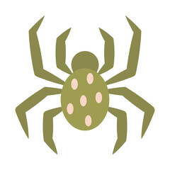 Simple illustration of a spider on a white background