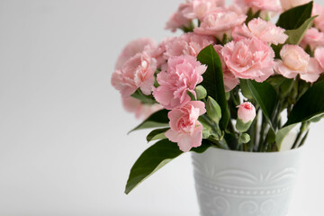 Naklejka na ściany i meble Close up Blooming mini Carnation Flowers on White background