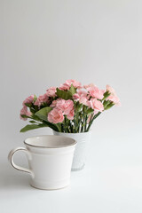 Obraz na płótnie Canvas Close up Blooming mini Carnation Flowers on White background