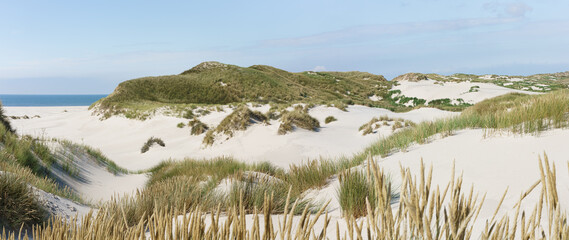 Dünenlandschaft an der Nordsee
