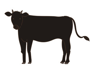 動物　畜産　和牛