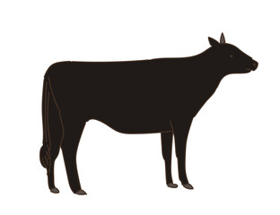 動物　畜産　和牛