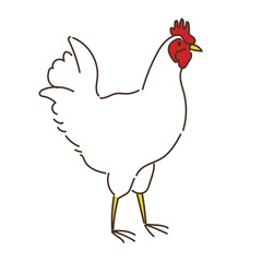 動物　畜産　鶏