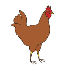動物　畜産　ニワトリ