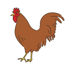 動物　畜産　ニワトリ