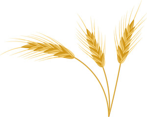 Fototapeta premium Whole stalks, wheat ears spikelets with seeds.