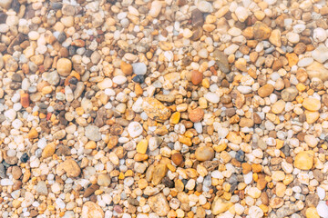 pebbles under water in river 