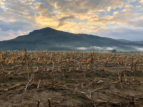Nach der Ernte