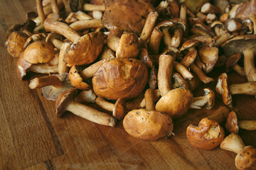 heap of wild edible forest mushrooms (Suillus) on a cutting board