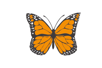 Fototapeta na wymiar orange butterfly png image